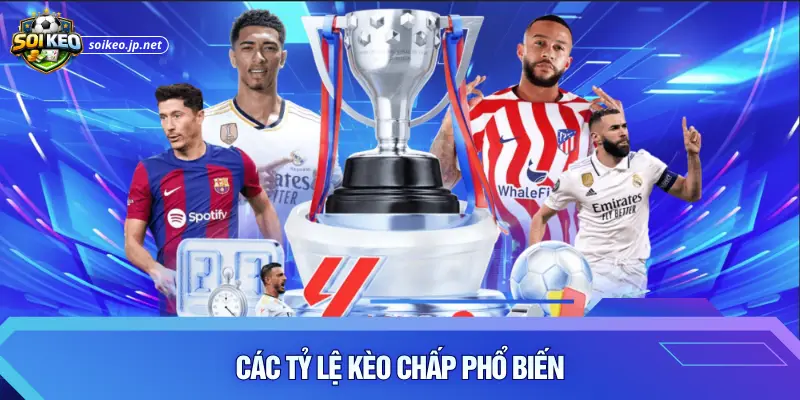 Các tỷ lệ kèo chấp phổ biến