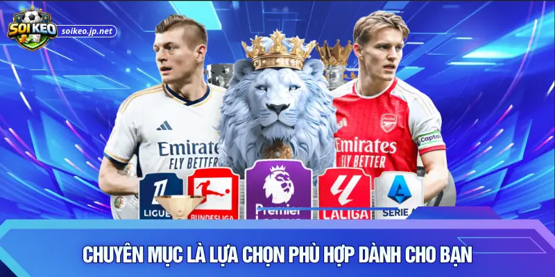 Chuyên mục là lựa chọn phù hợp dành cho bạn