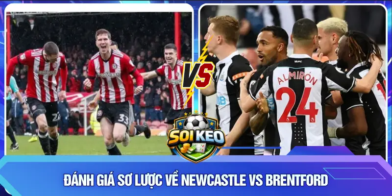 Đánh giá sơ lược về Newcastle vs Brentford