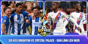 Soi Kèo Brighton vs Crystal Palace - Bản Lĩnh Lên Ngôi