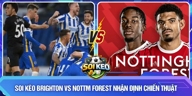 Soi kèo Brighton vs Nottm Forest