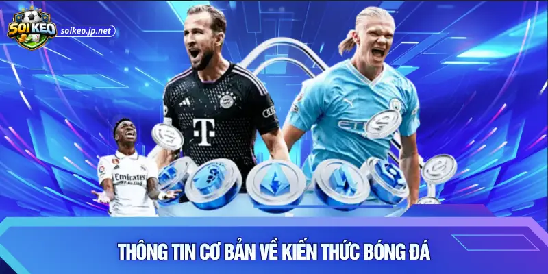 Thông tin cơ bản về kiến thức bóng đá