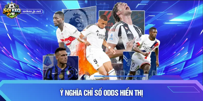 Ý nghĩa chỉ số Odds hiển thị